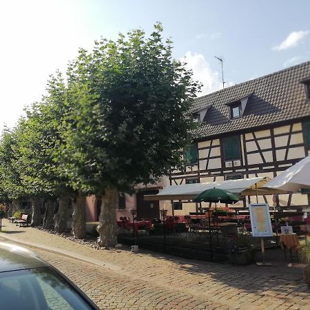 Gites Aux Fines Bulles D'Alsace Spa Privatif En Supplement Бергхейм Экстерьер фото