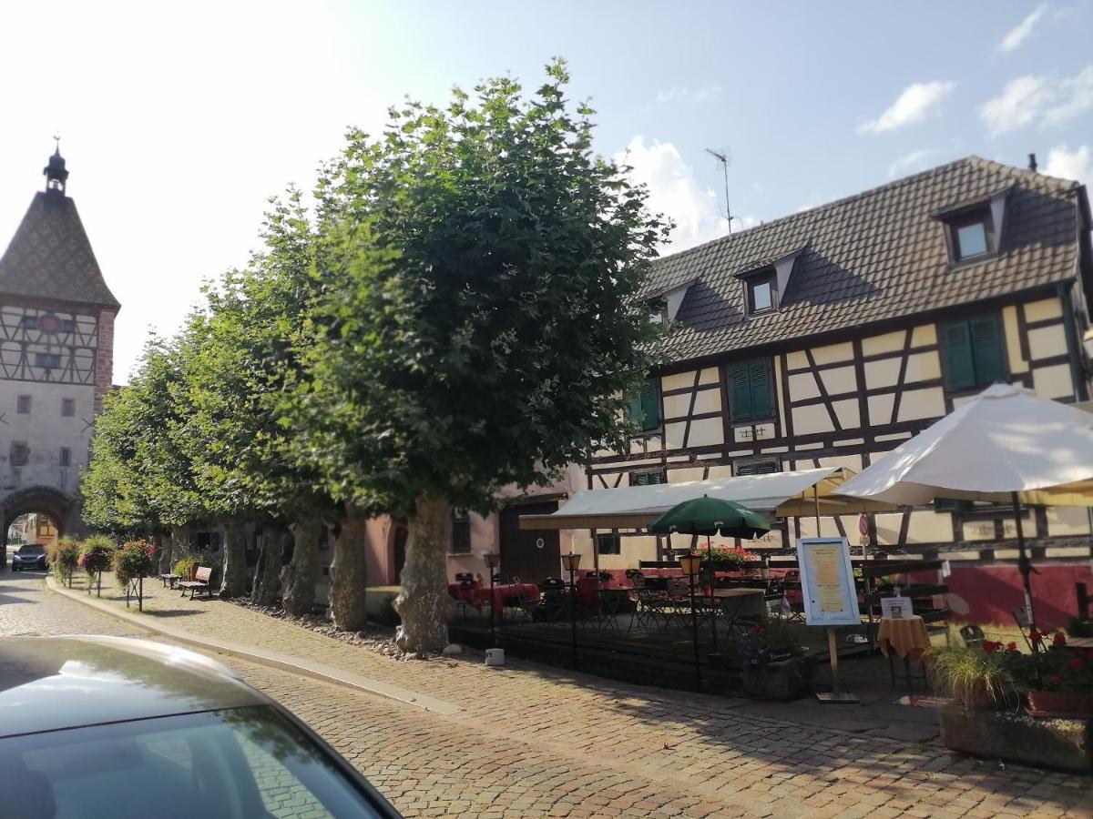 Gites Aux Fines Bulles D'Alsace Spa Privatif En Supplement Бергхейм Экстерьер фото