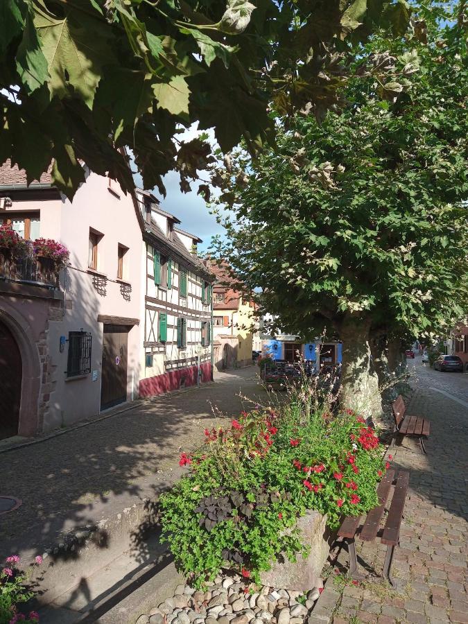 Gites Aux Fines Bulles D'Alsace Spa Privatif En Supplement Бергхейм Экстерьер фото